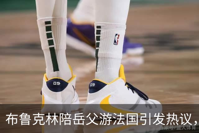 布鲁克林陪岳父游法国引发热议，似外人身份引关注